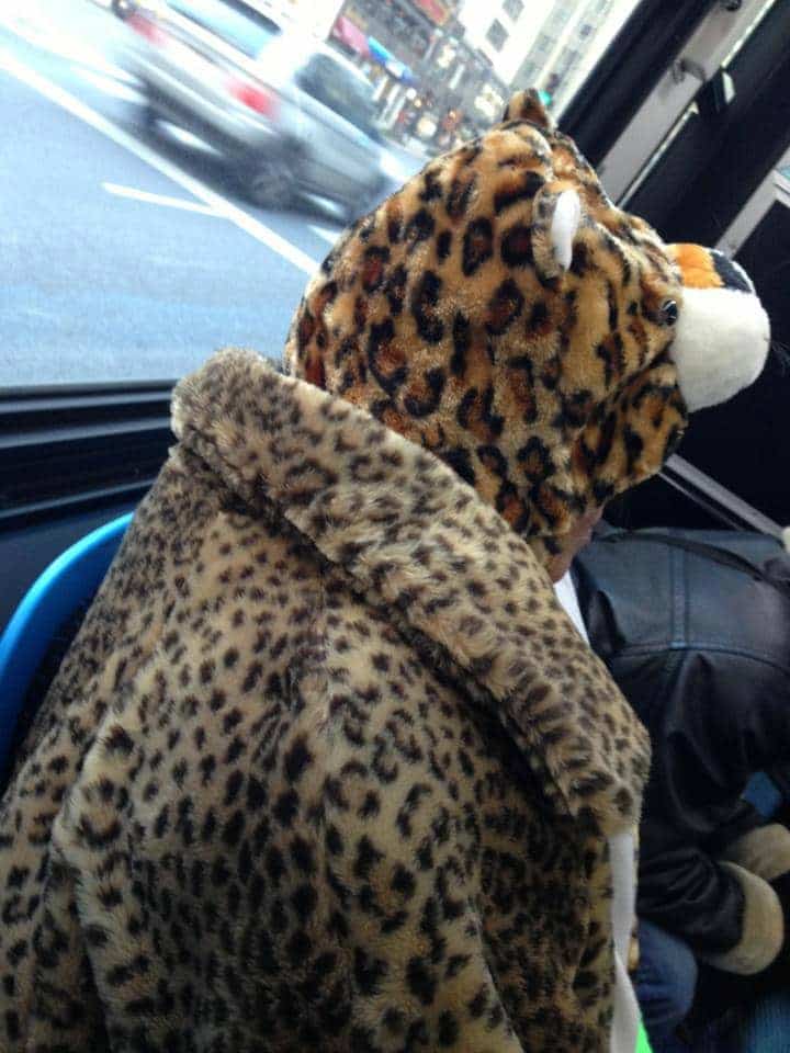 Cheetah Lady