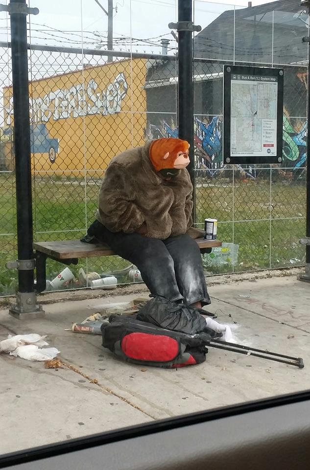 Just hangin out at the clean Ashland bus stop