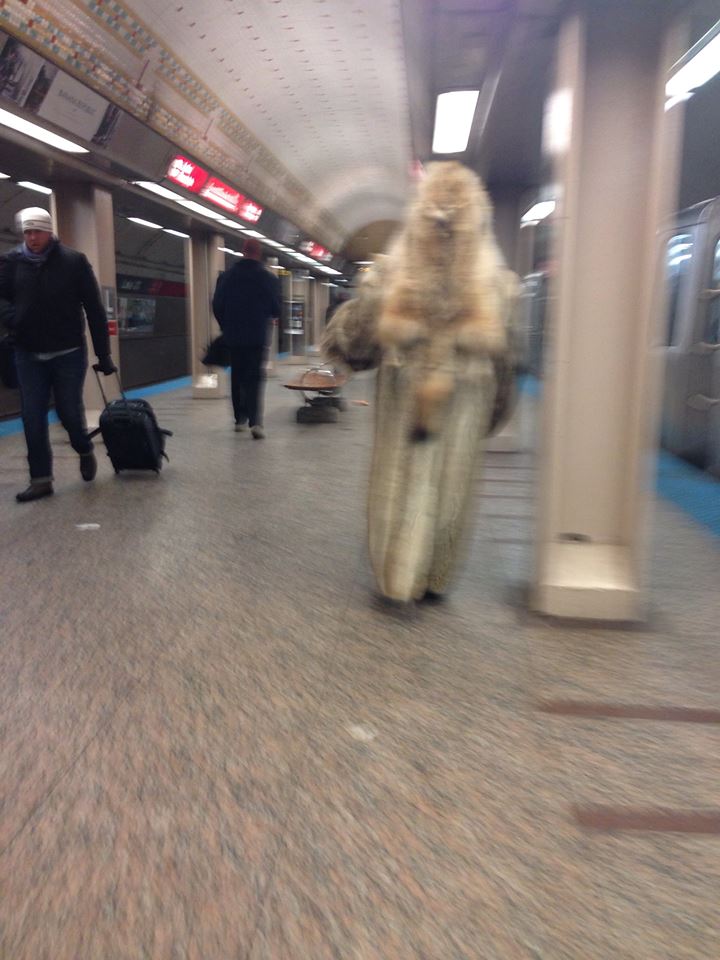 Chewbacca Spotted