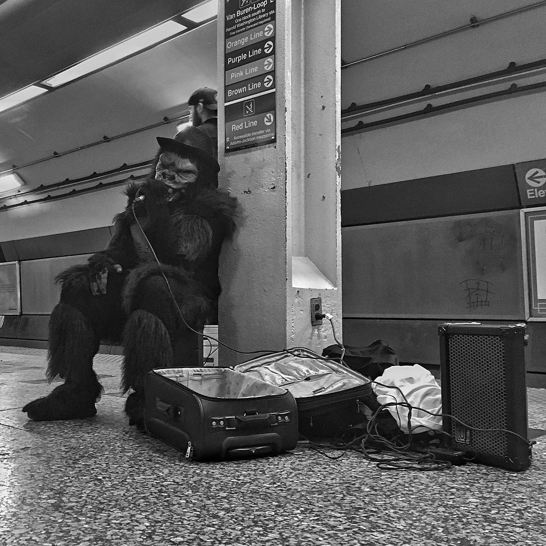 Gorillas of the CTA