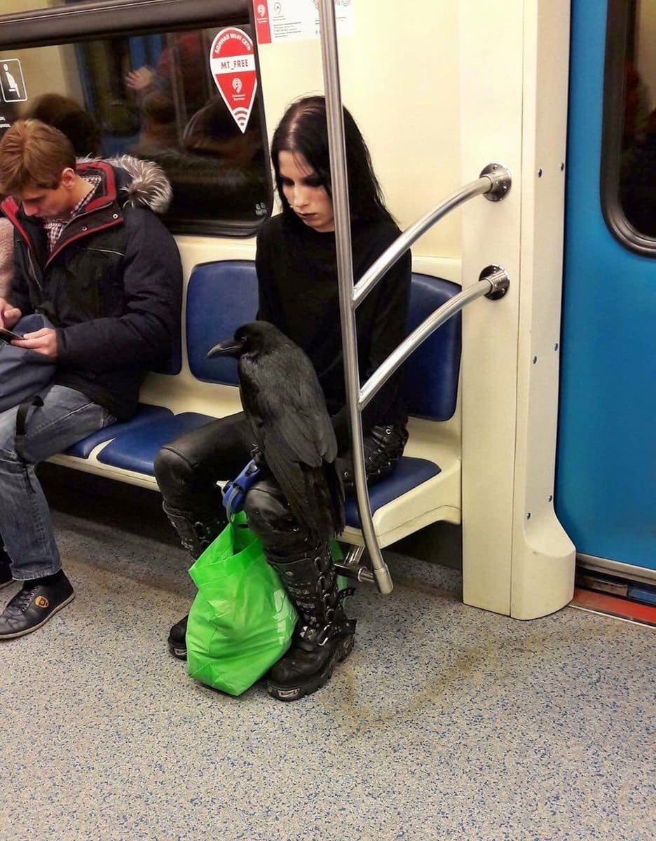 Dejected Goth Girl with Raven