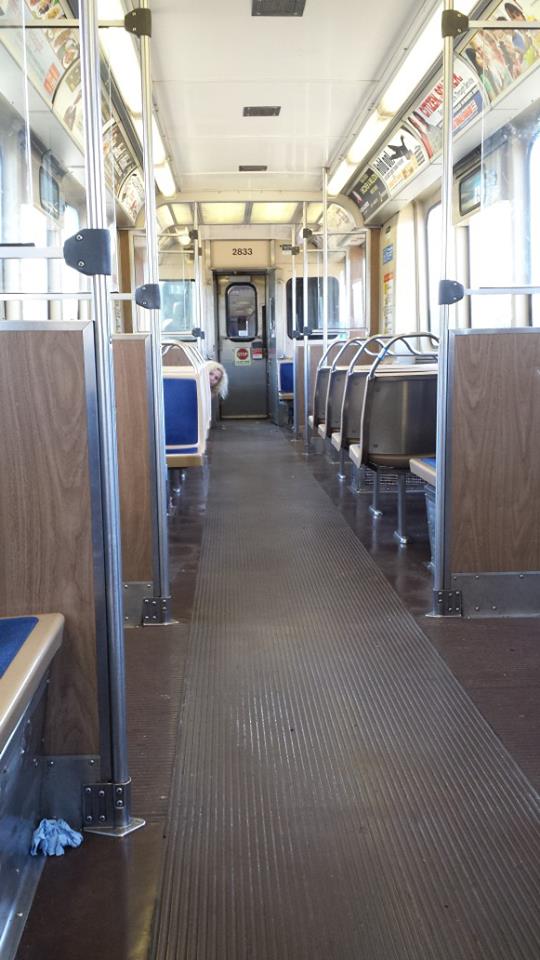 Every CTA riders dream.  Empty car