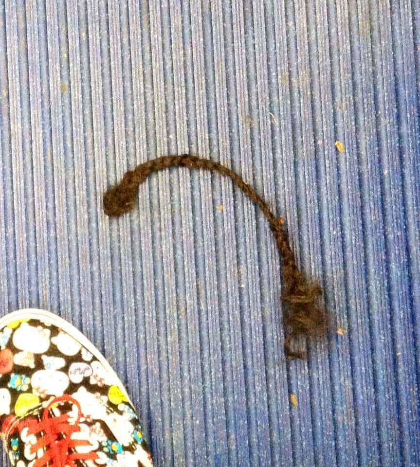 A little tumble-weave action on the bus