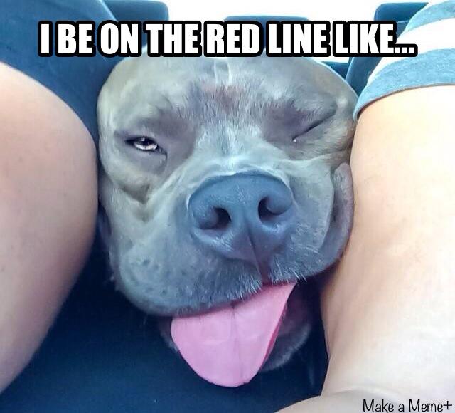 That Red Line life