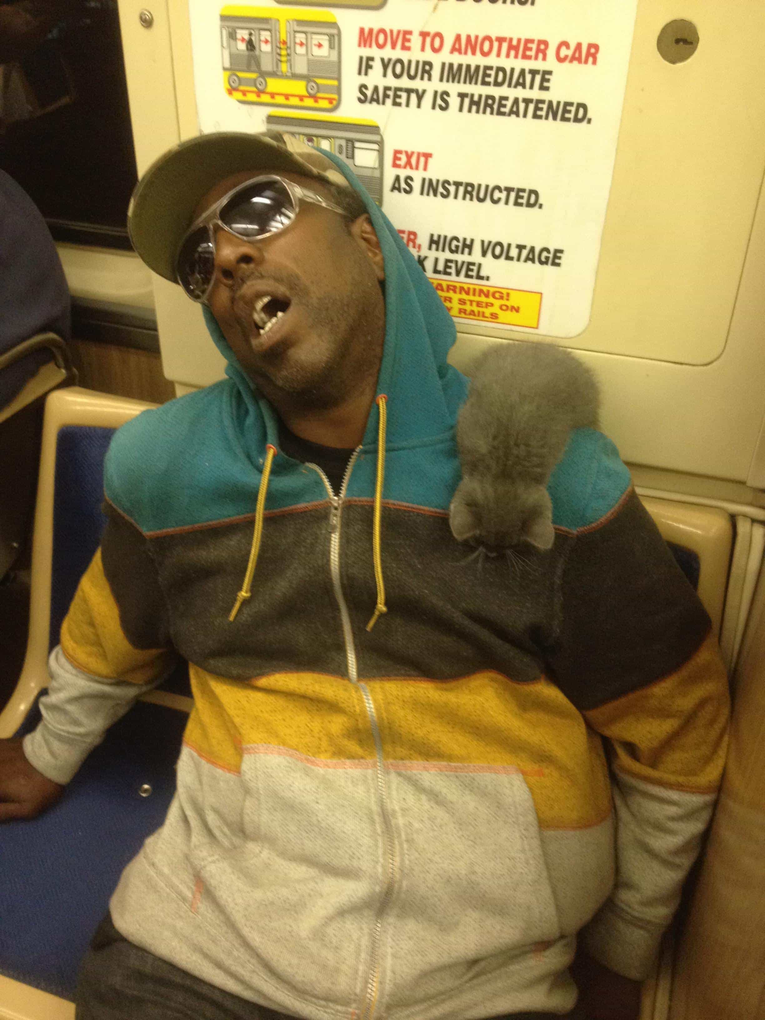 Passed out from all that pussy….cat